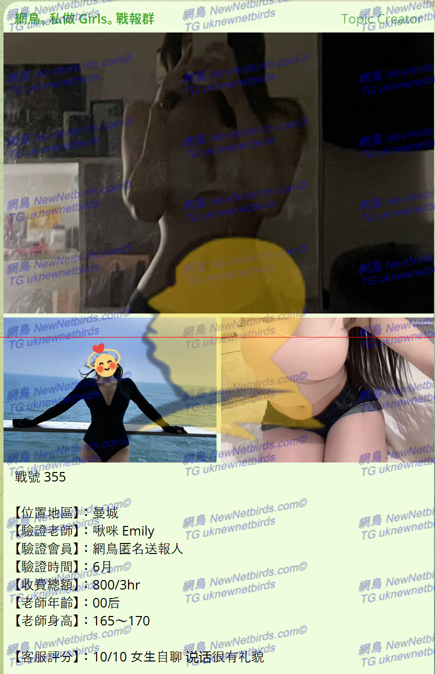 戰號 355 1.png